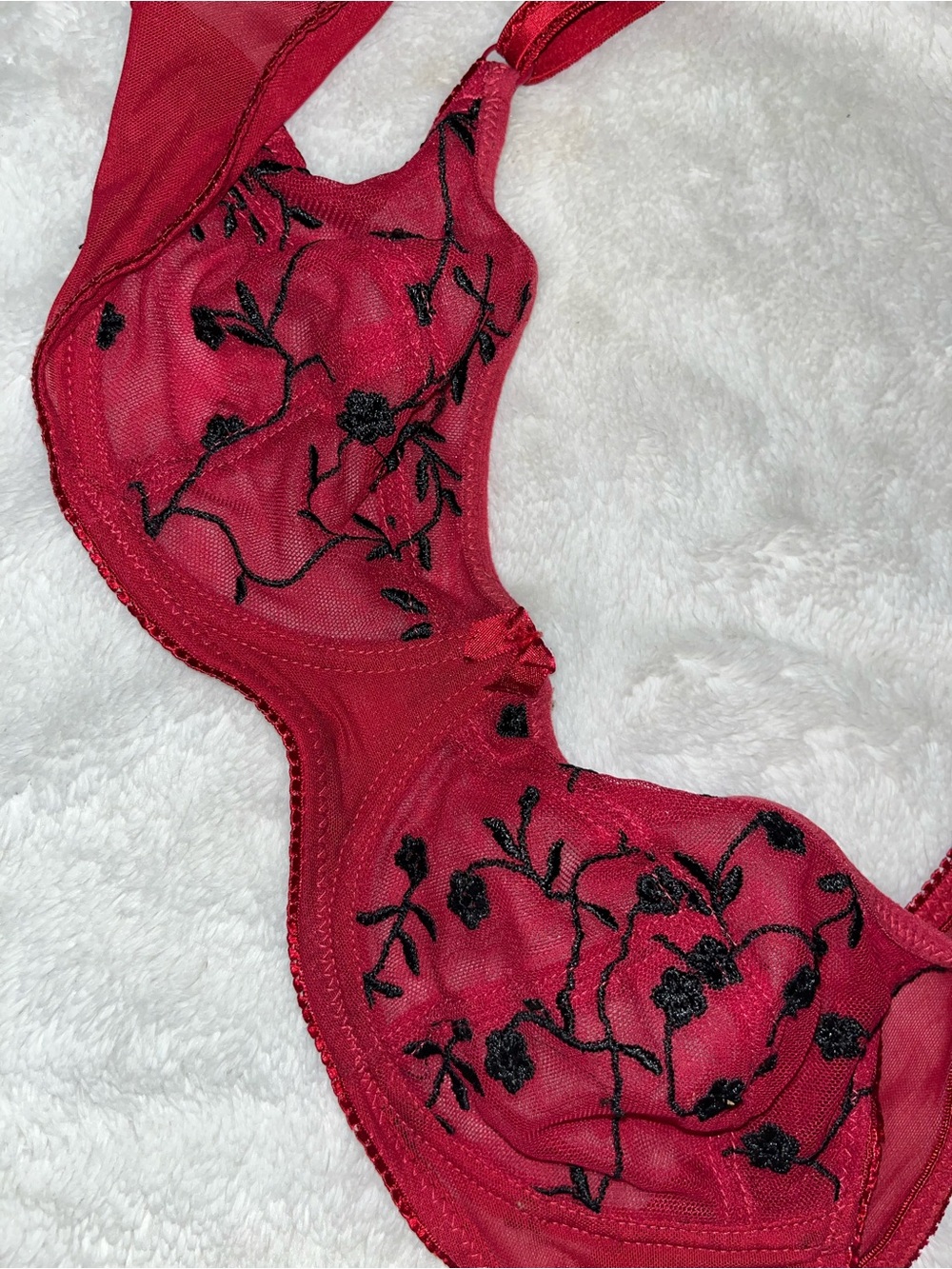 Isabella Fiore Red Sheer Embroidered Underwire Bra